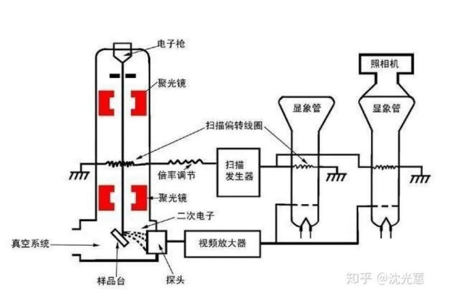 内1.webp